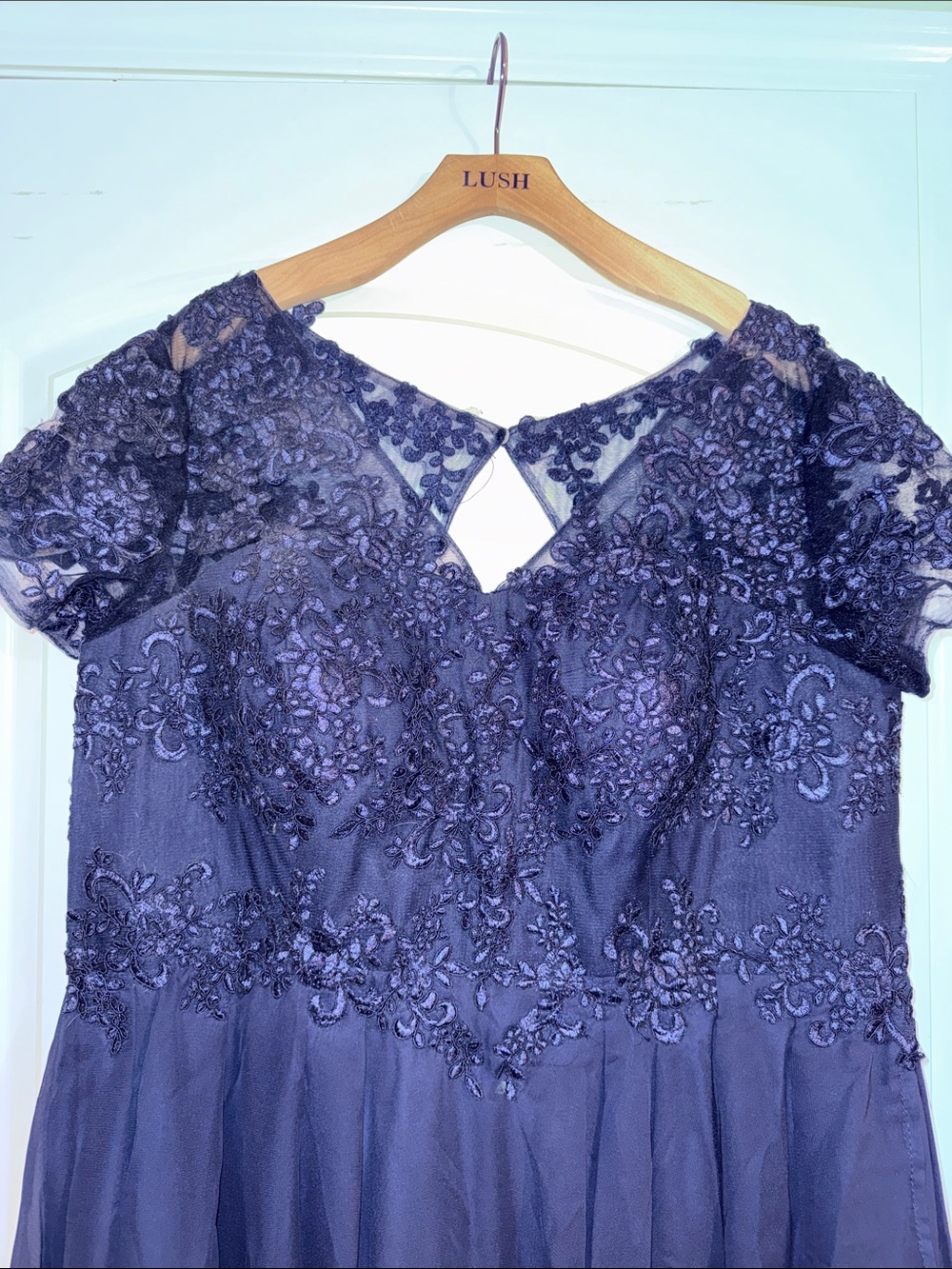 Lush Navy Lace Bodice Chiffon Wedding Guest Gown - Picture 3 of 7